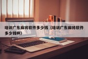 培训广东麻将软件多少钱（培训广东麻将软件多少钱啊）