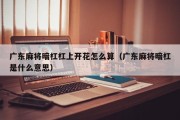 广东麻将暗杠杠上开花怎么算（广东麻将暗杠是什么意思）