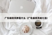 广东麻将天牌是什么（广东麻将天胡几倍）