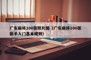 广东麻将100张照片图（广东麻将100张新手入门基本规则）