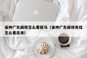 雀神广东麻将怎么看抓马（雀神广东麻将有挂怎么看出来）