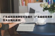 广东麻将常用牌型大全图片（广东麻将常用牌型大全图片高清）