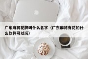 广东麻将花牌叫什么名字（广东麻将有花的什么软件可以玩）