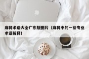 麻将术语大全广东版图片（麻将中的一些专业术语解释）