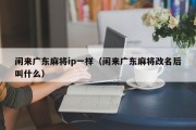 闲来广东麻将ip一样（闲来广东麻将改名后叫什么）