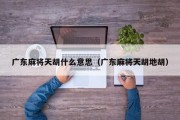 广东麻将天胡什么意思（广东麻将天胡地胡）