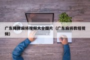 广东降牌麻将视频大全图片（广东麻将教程视频）