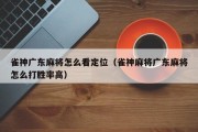 雀神广东麻将怎么看定位（雀神麻将广东麻将怎么打胜率高）