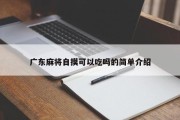 广东麻将自摸可以吃吗的简单介绍