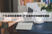 广东麻将对家看码（广东麻将对对胡牌型图解）