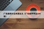 广东麻将什么叫清幺九（广东麻将清远100张）