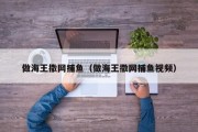 做海王撒网捕鱼（做海王撒网捕鱼视频）