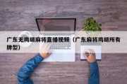广东无鸡胡麻将直播视频（广东麻将鸡胡所有牌型）
