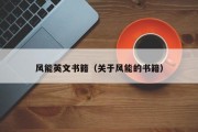 风能英文书籍（关于风能的书籍）